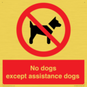 no-dogs-except-assistance-dogs~